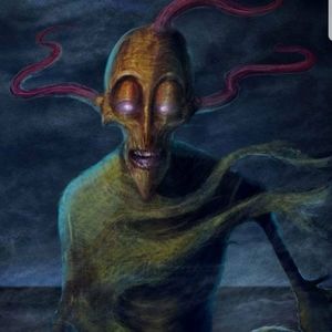 Meet your Posher, Marcus